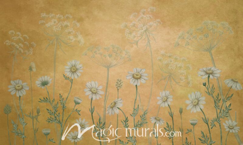Dazzling Daisies Yellow by Sir Edward Wallpaper Wall Mural