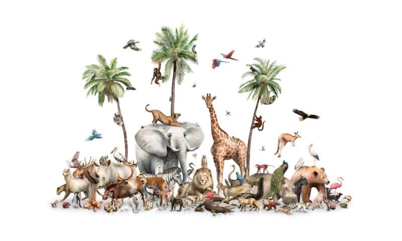 Beautiful Biodiversity by Kikki Belle Wallpaper Wall Mural
