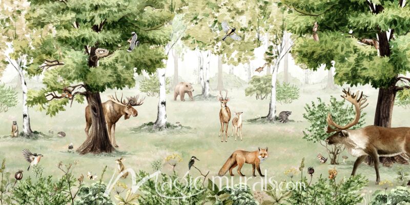 Woodland Wonders by Kikki Belle Wallpaper Wall Mural