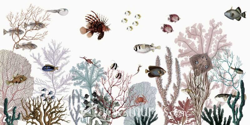 Roaring Reef - White by Kikki Belle Wallpaper Wall Mural
