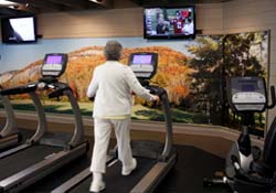 Gyms 1