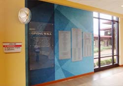 Hospitals 1