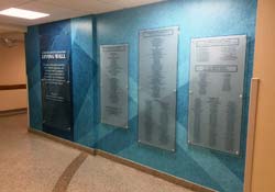 Hospitals 3