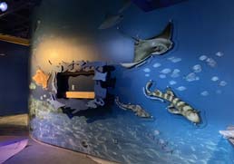 Museum 4