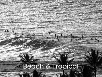 Shop Beach & Tropical wall murals