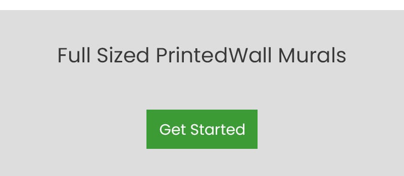 Full-Sized Printed Wall Murals