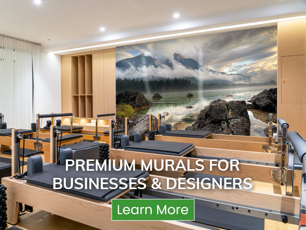 wall murals for business, trade and design professionals