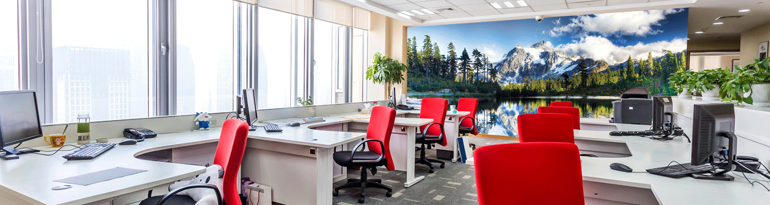 customized office murals