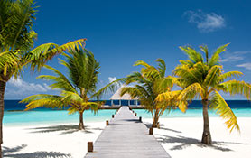 Beach, Tropical & Waves