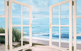 Doors & Windows