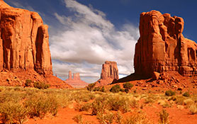 Landscape & Scenic View